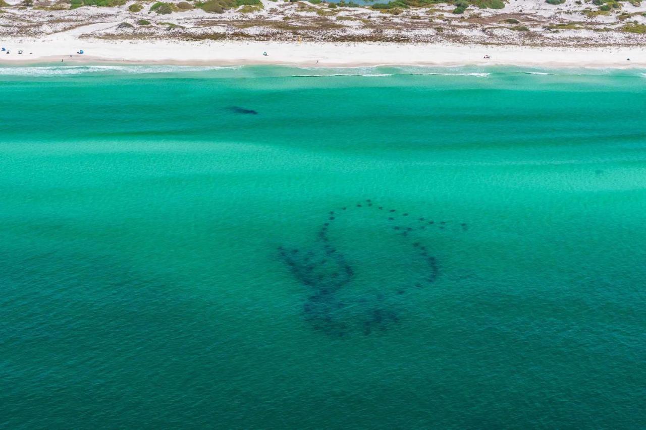 Surfin' Turtle Villa Santa Rosa Beach Eksteriør billede